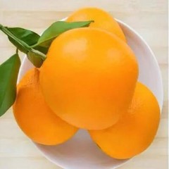 脐橙纽荷尔17.6度橙子（约7斤）