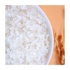 十月稻田 长粒香大米 东北大米 东北香米 10kg