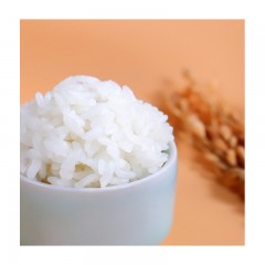 十月稻田 长粒香大米 东北大米 东北香米 10kg