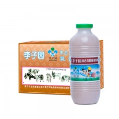 李子园 朱古力 甜牛奶 乳饮料 学生奶 营养早餐 风味乳饮品 450mlX12瓶 整箱装
